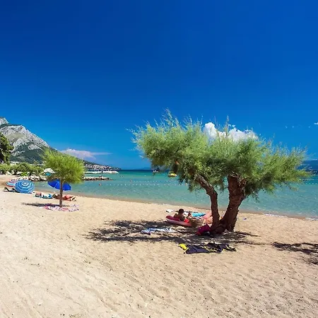 Luxury Beachfront Flores Heated Outdoor, Indoor Pool, Whirlpool, Sauna * Duće